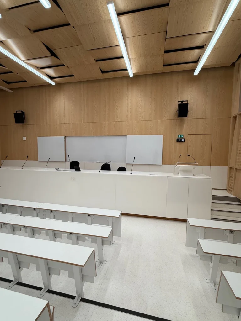 Agencement Université Lorraine - Amphi Roblot