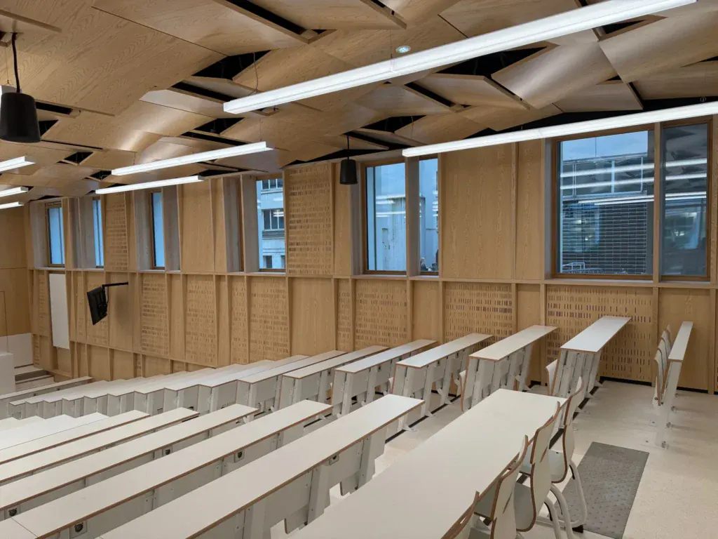 Agencement Université Lorraine - Amphi Roblot